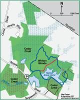 Whiton Woods