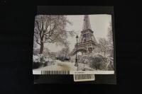 Paris in the Snow Puzzle