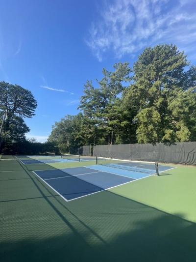 Alden Pickleball Court