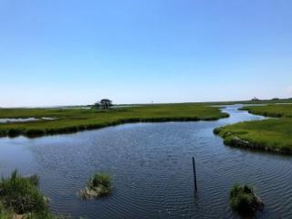 bay side